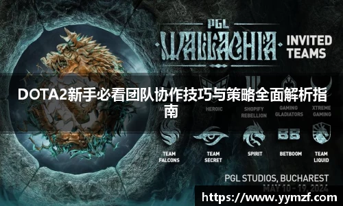DOTA2新手必看团队协作技巧与策略全面解析指南