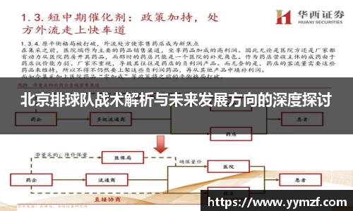 北京排球队战术解析与未来发展方向的深度探讨