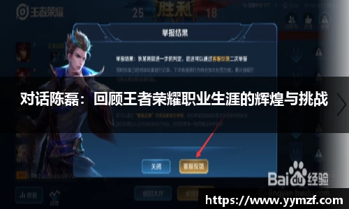 对话陈磊：回顾王者荣耀职业生涯的辉煌与挑战