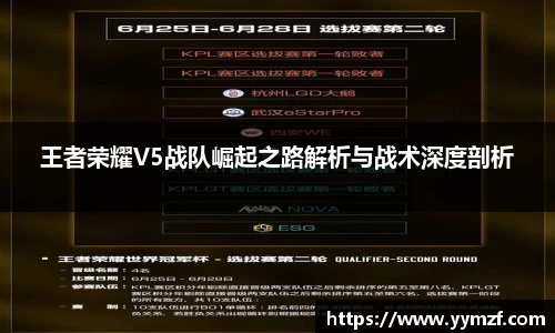 王者荣耀V5战队崛起之路解析与战术深度剖析