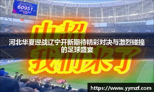 河北华夏迎战辽宁开新期待精彩对决与激烈碰撞的足球盛宴