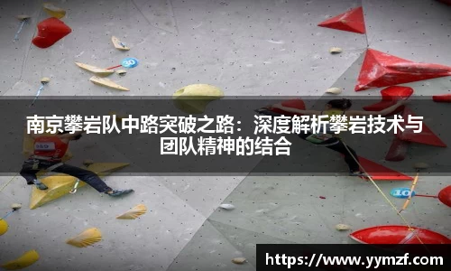 南京攀岩队中路突破之路：深度解析攀岩技术与团队精神的结合