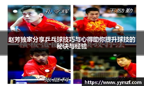 赵芳独家分享乒乓球技巧与心得助你提升球技的秘诀与经验