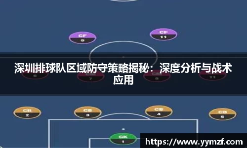 深圳排球队区域防守策略揭秘：深度分析与战术应用
